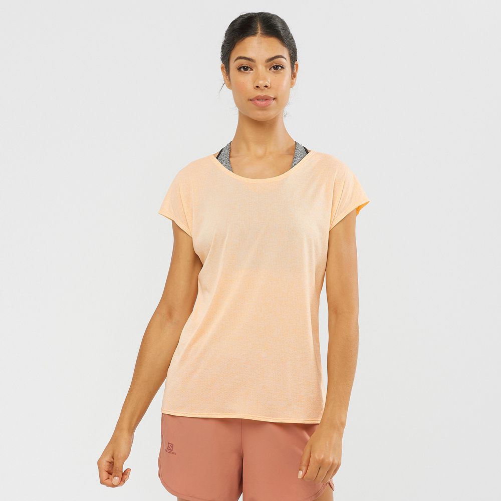 Salomon Singapore Womens T-shirts - XA SLEEVE TECH W Khaki | 81397-VZNQ